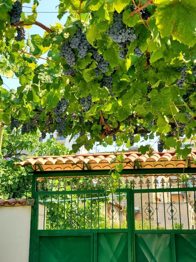 Unique Traditional House, Hosted By J&G Tirana Extérieur photo