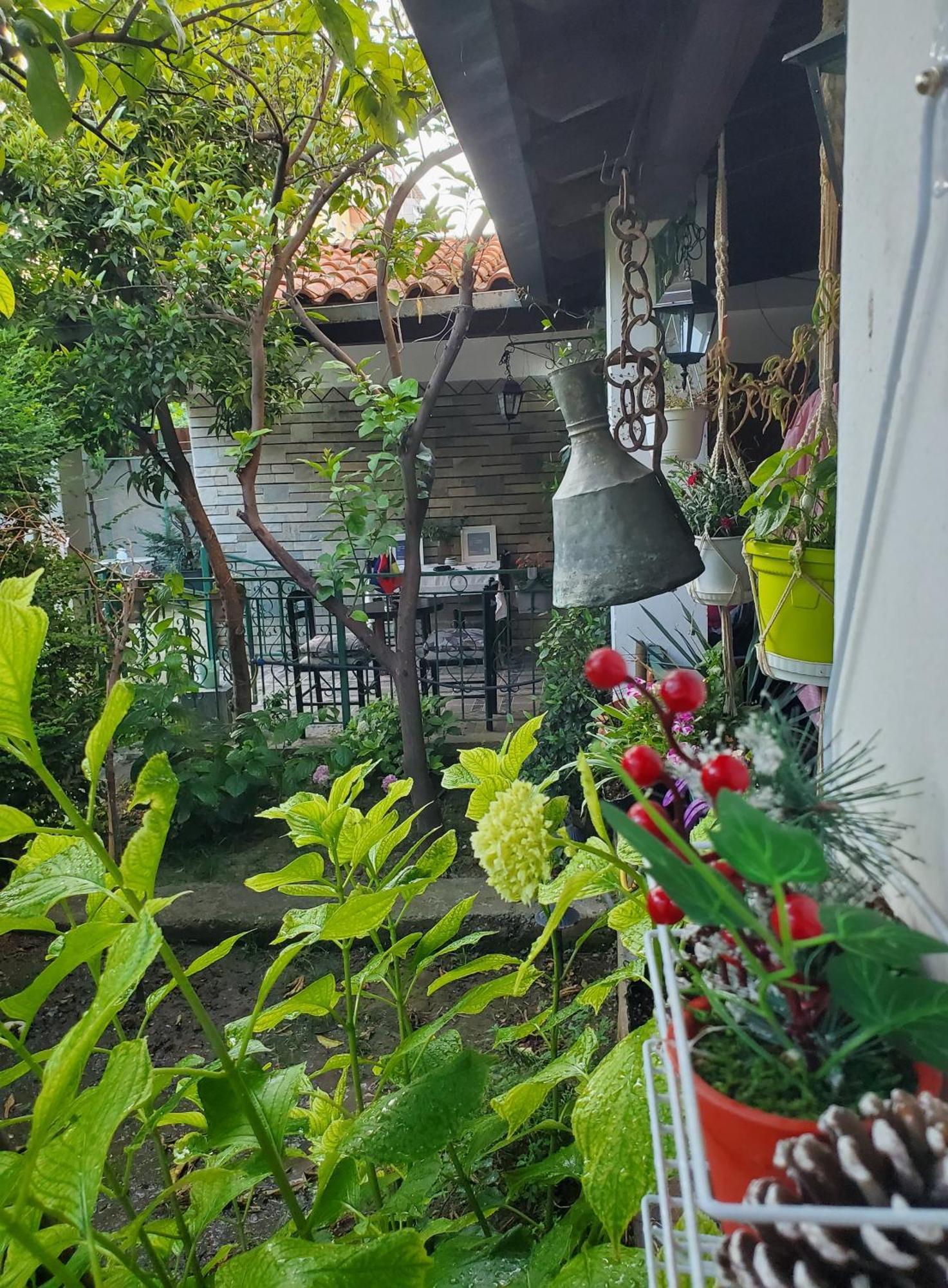 Unique Traditional House, Hosted By J&G Tirana Extérieur photo